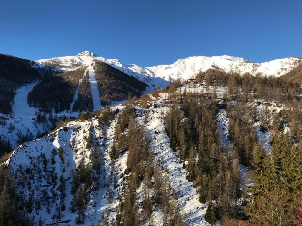 Magnifique 2 Pieces Proche Place D'Auron Εξωτερικό φωτογραφία